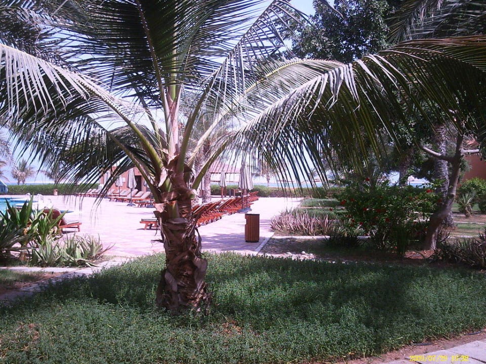 Aus dem Zimmer BM Beach Resort