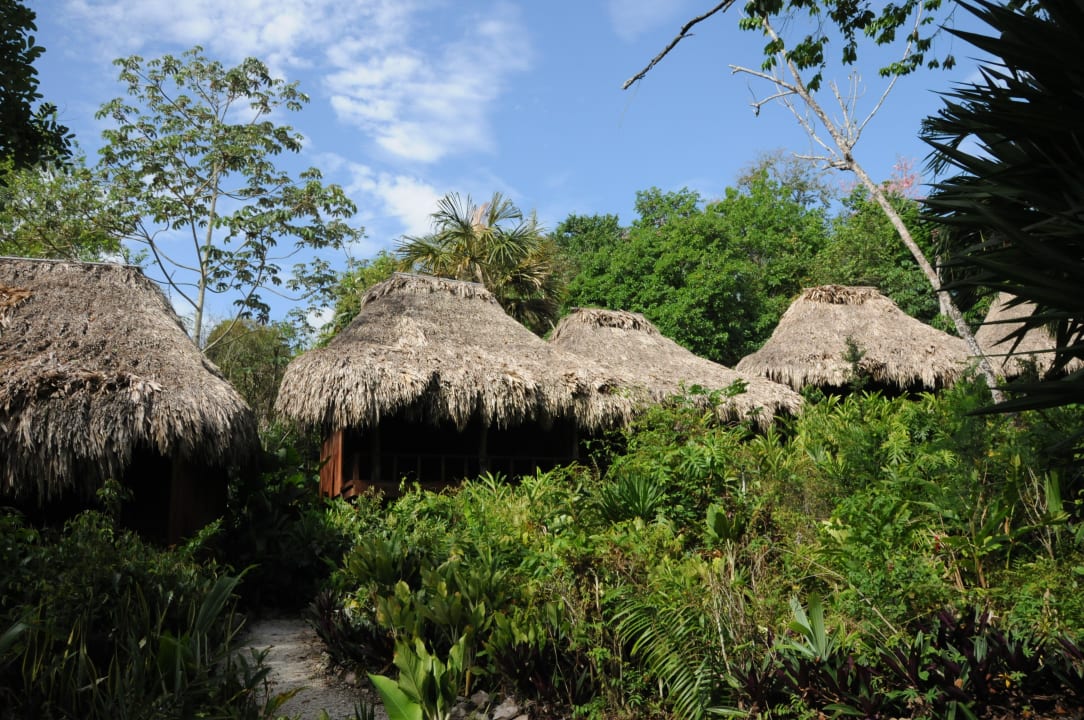 Cabanas in tollen Gartenanlage (2) Lamanai Outpost Lodge