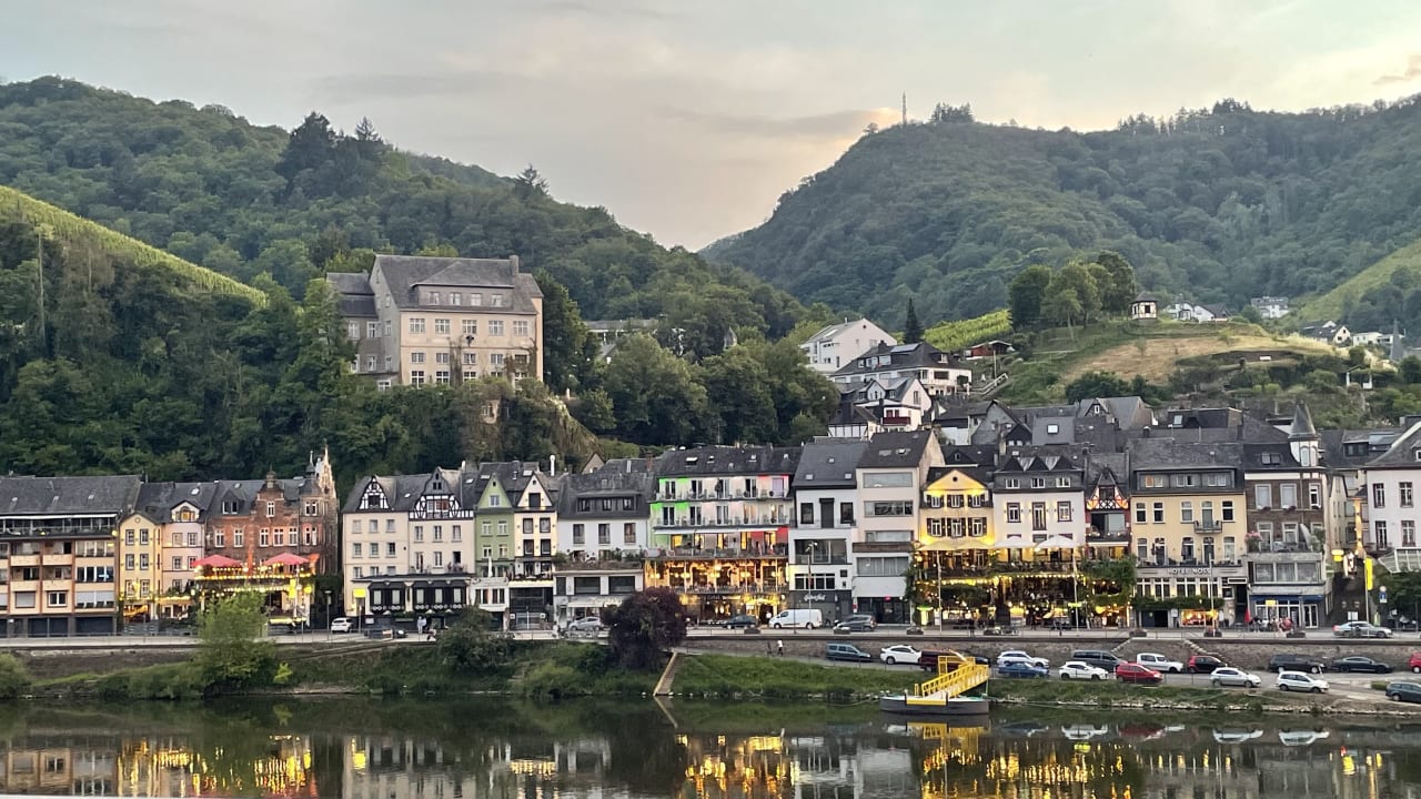 Ausblick Moselstern Hotel Brixiade & Triton