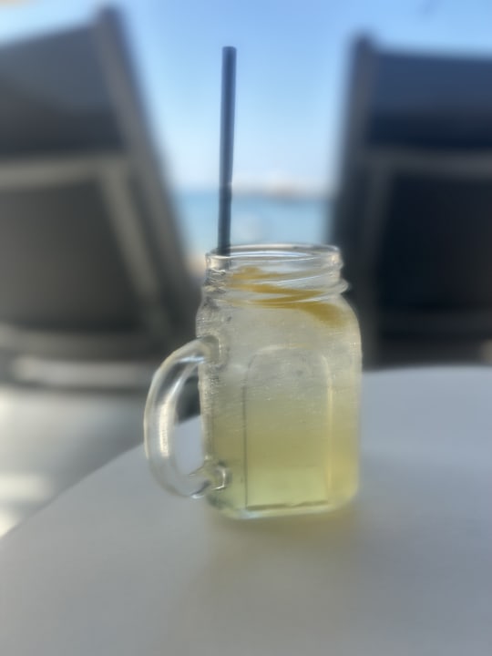 Gastro PALOMA Perissia