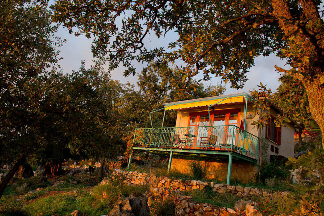 Bungalow unter Steineichen Biohotel Mani Sonnenlink