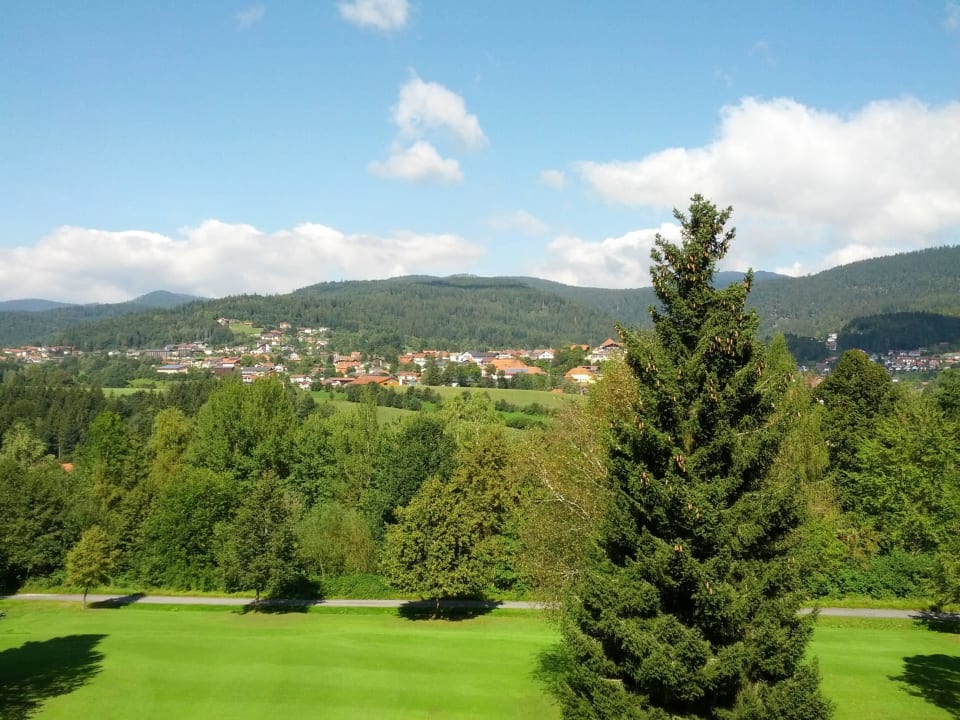 Ausblick vom Balkon Riederin Hotel & Chalets