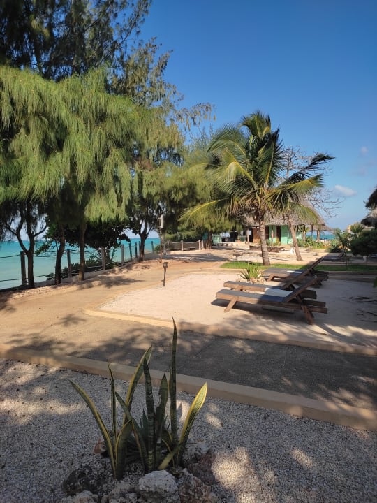 Gartenanlage Reef & Beach Resort