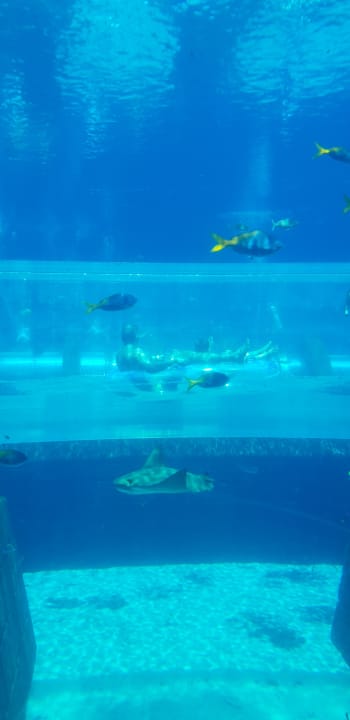 Sport & Freizeit Atlantis, The Palm