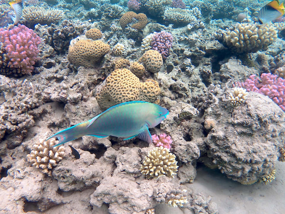 Sport & Freizeit Jaz Makadi Saraya Resort