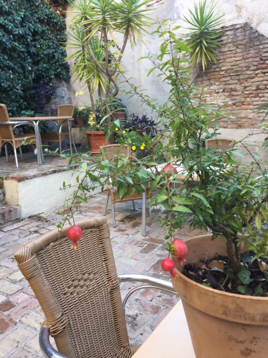 Gartenanlage Hotel Puerta de las Granadas