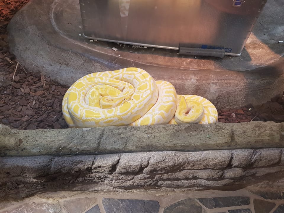 Sonstiges Ferienwohnungen Ferienpark Weissenhäuser Strand