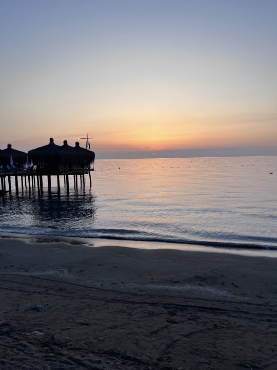 Strand Crystal Flora Pearl Collection