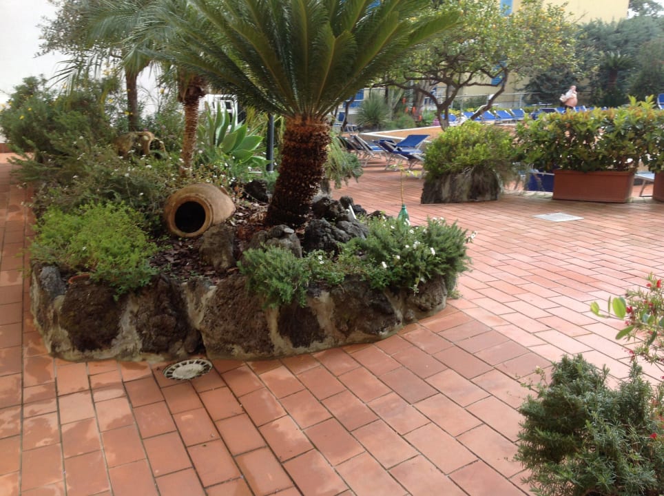 Schöner Garten  Hotel Royal Terme