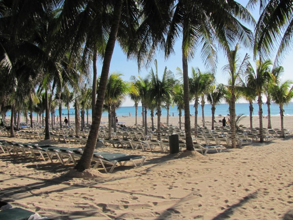 Strand mit Palmen Hotel Riu Tequila