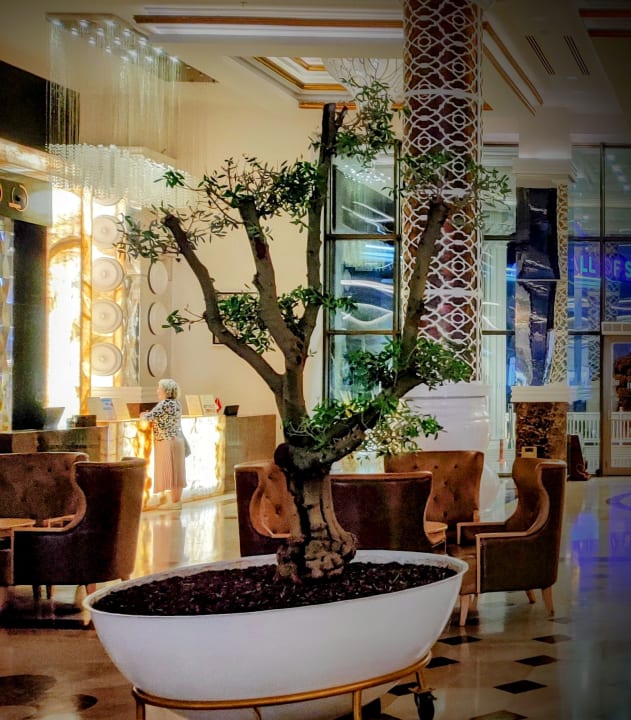 Lobby Castival Hotel