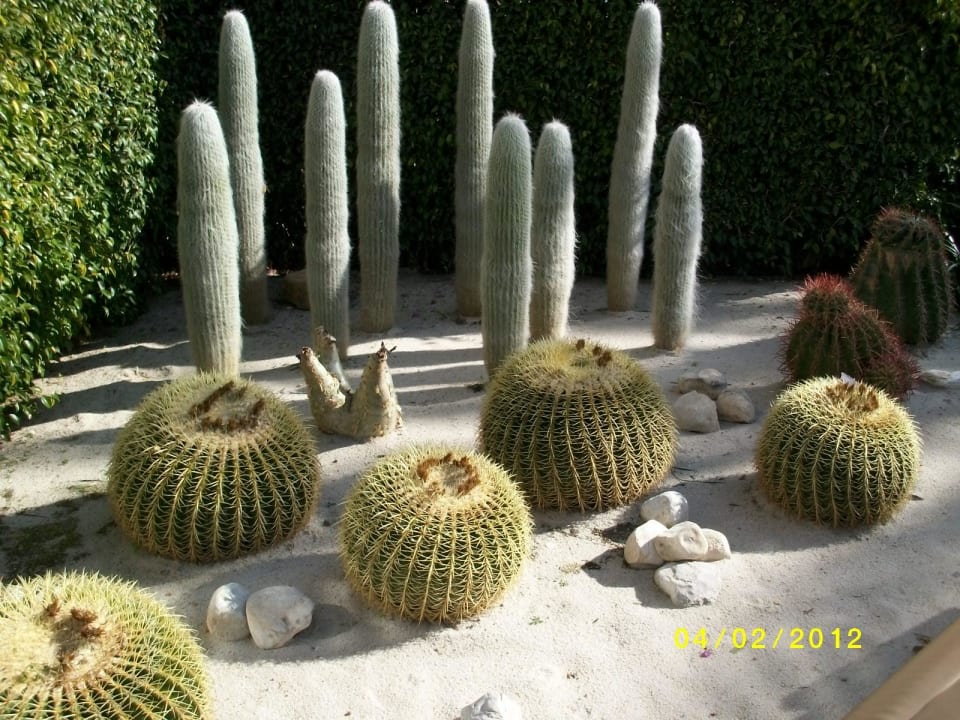 Im Garten VIVA Golf - Adults only 18+