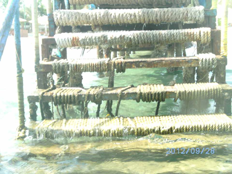 Badesteg Menaville Safaga