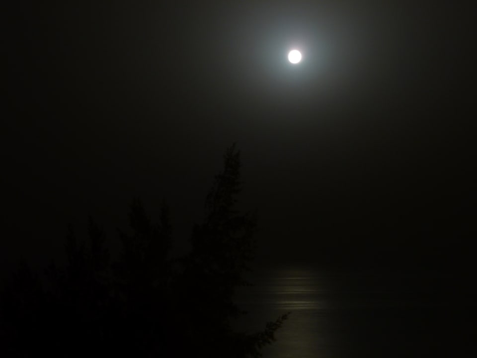 Sonstiges Marina Playa Suite Hotel