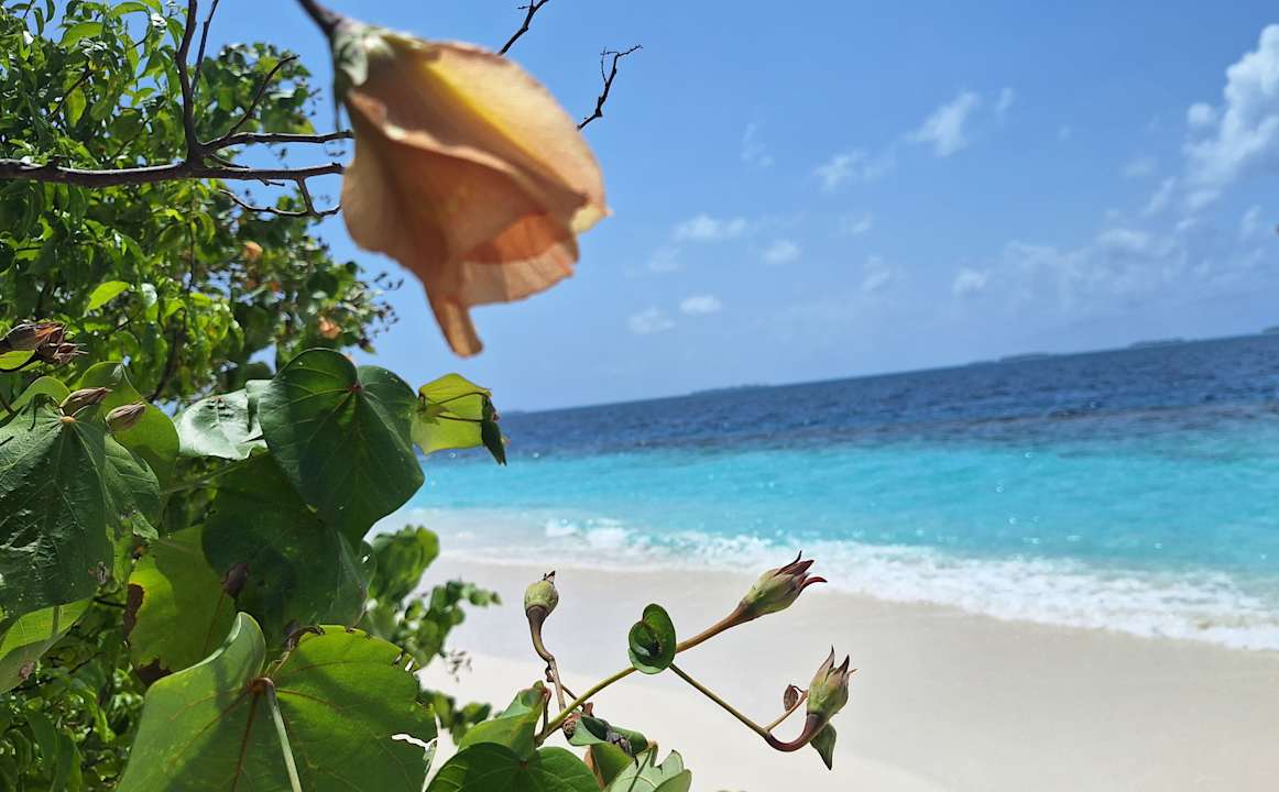 Strand Dreamland The Unique Sea & Lake Resort / Spa