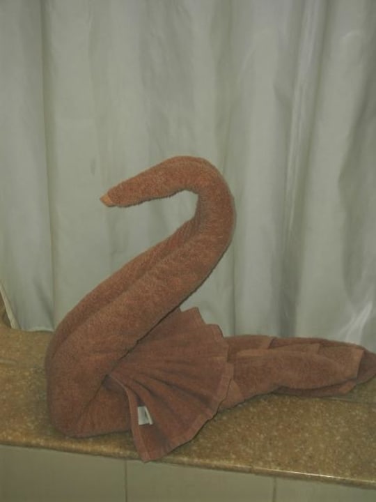 Handtuchschwan Hotel Riu Tequila