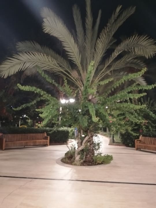 Gartenanlage Saphir Resort & Spa