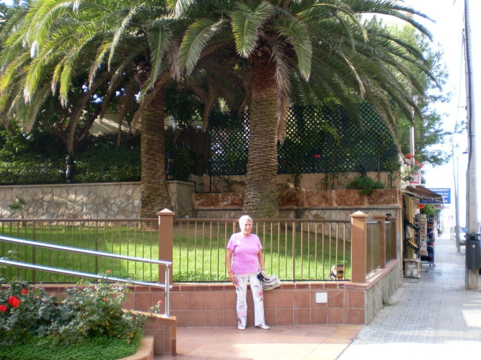 Weg vom Hotel zum Strand Hotel Boreal