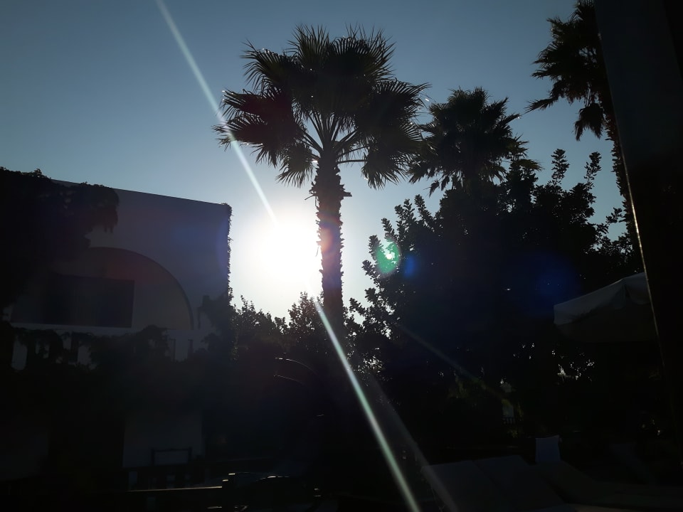 Pool Gaia Garden Hotel