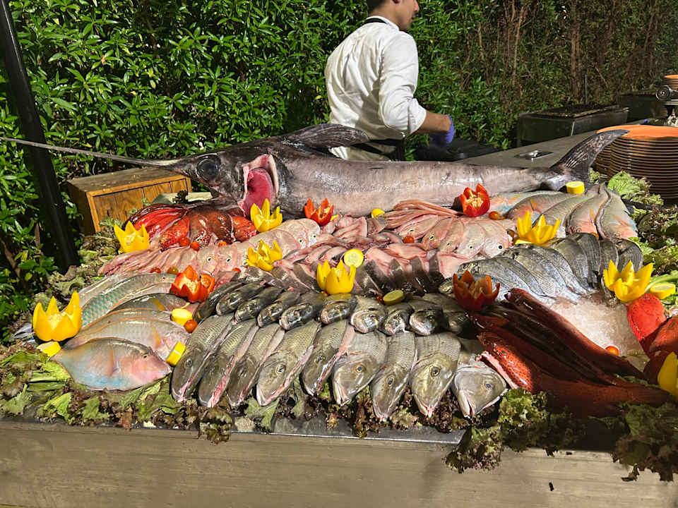 Gastro Rixos Premium Magawish Suites & Villas