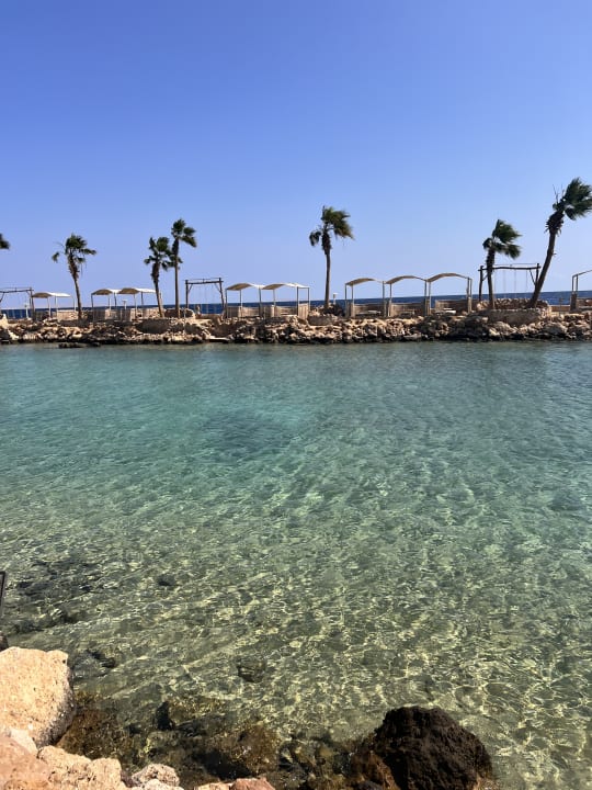 Gartenanlage Pickalbatros Citadel Resort