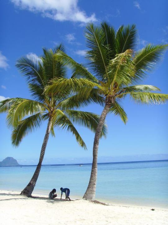 Traumhaft schön! Sugar Beach Mauritius