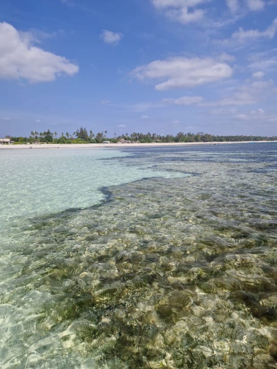 Strand Neptune Paradise Beach Resort & Spa