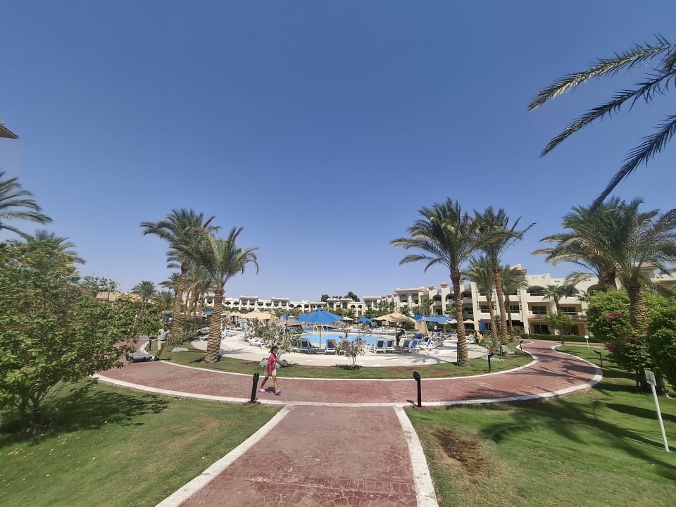 Gartenanlage Serenity Alma Heights