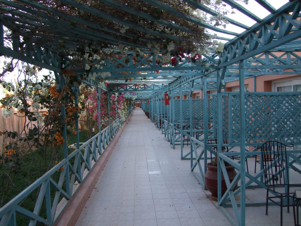Anlage Giftun Azur Resort