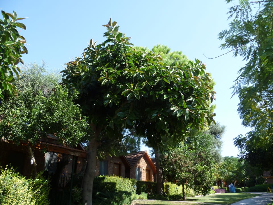 Garten Can Garden Beach