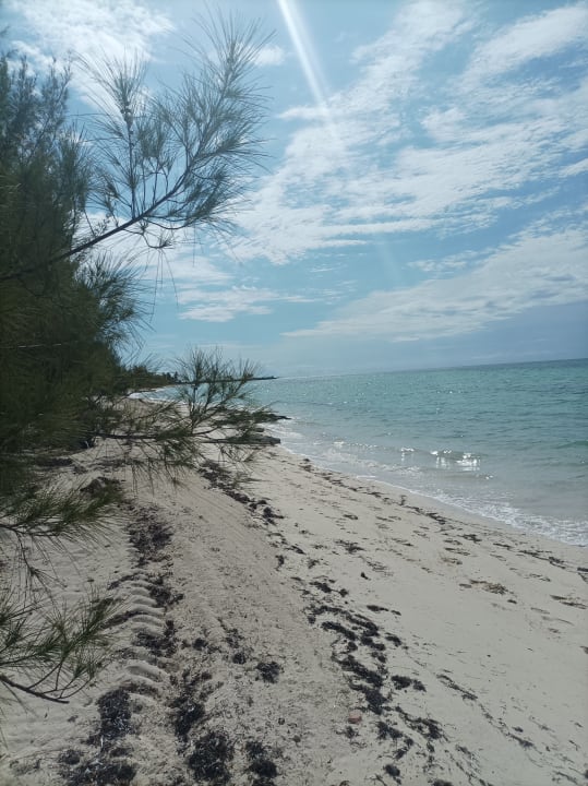 Strand Viva Fortuna Beach by Wyndham - All Inclusive Resort