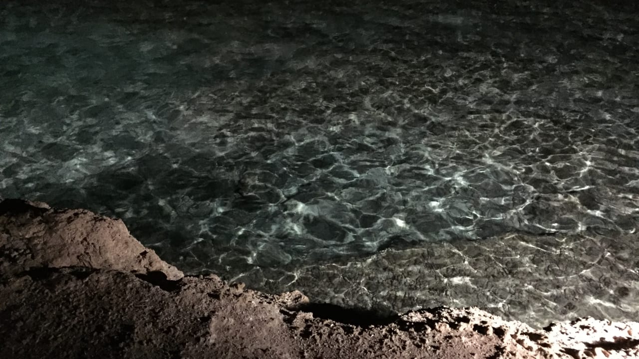 Strand Mövenpick Resort El Quseir