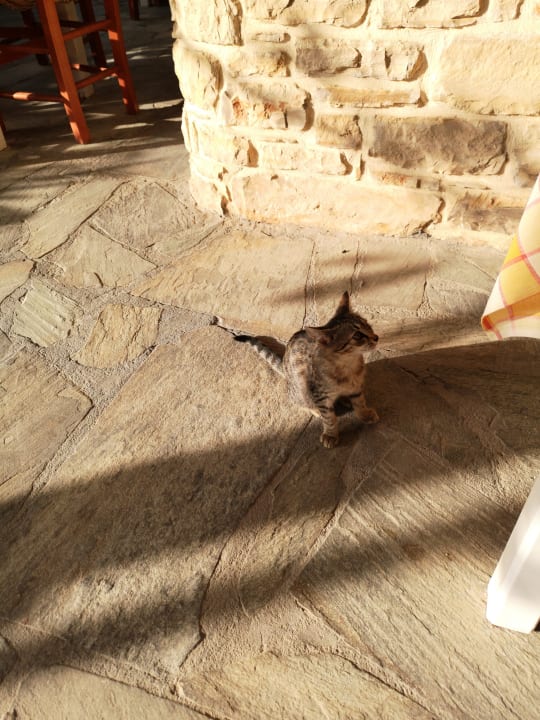 Sonstiges Hotel Neos Matala