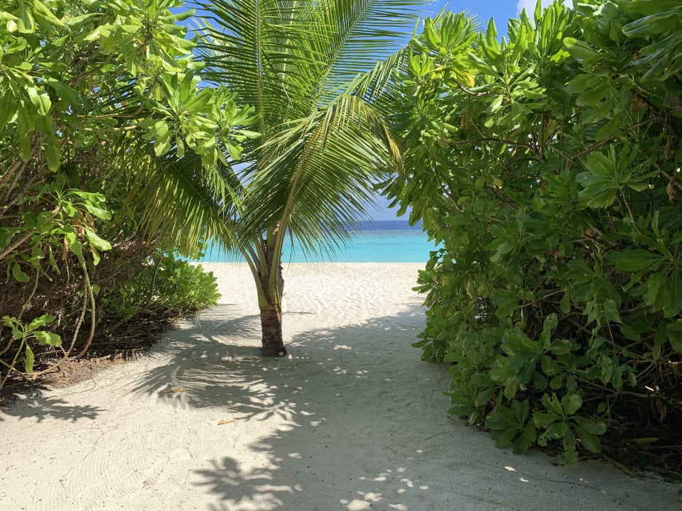 Zimmer NH Collection Maldives Havodda Resort