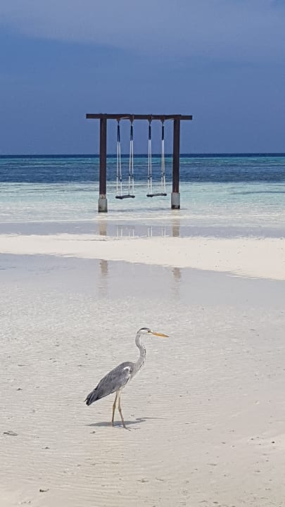 Sonstiges Adaaran Select Hudhuran Fushi - Premium All Inclusive