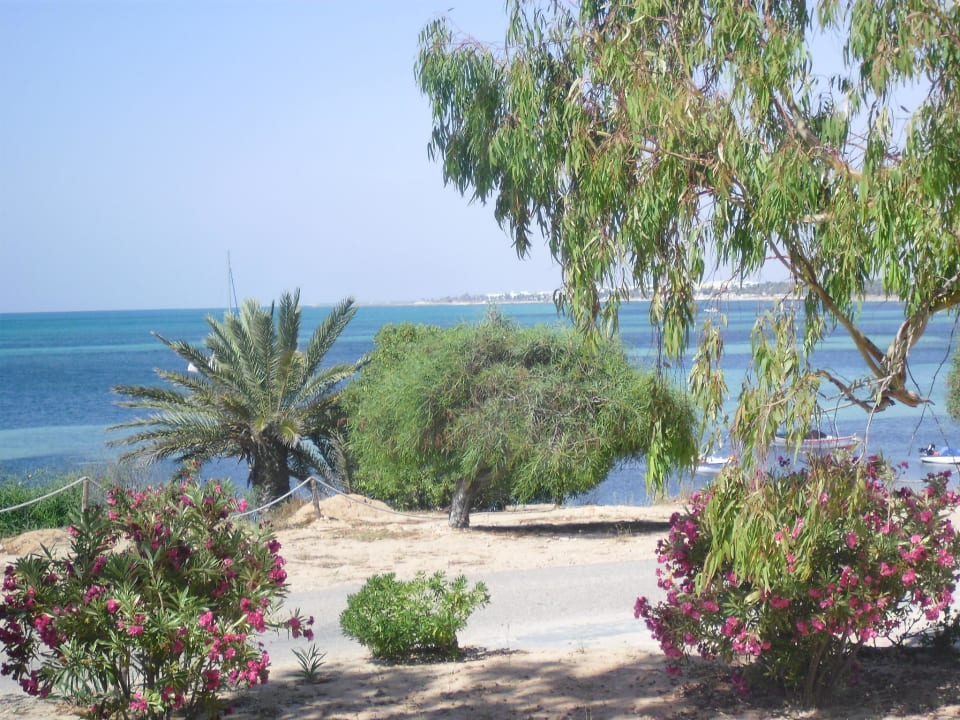 Zimmerausblick direkt aufs Meer Hotel El Mouradi Djerba Menzel