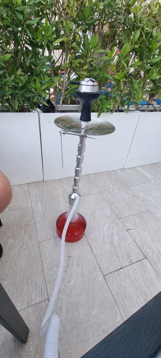 Gastro Rose Rayhaan by Rotana