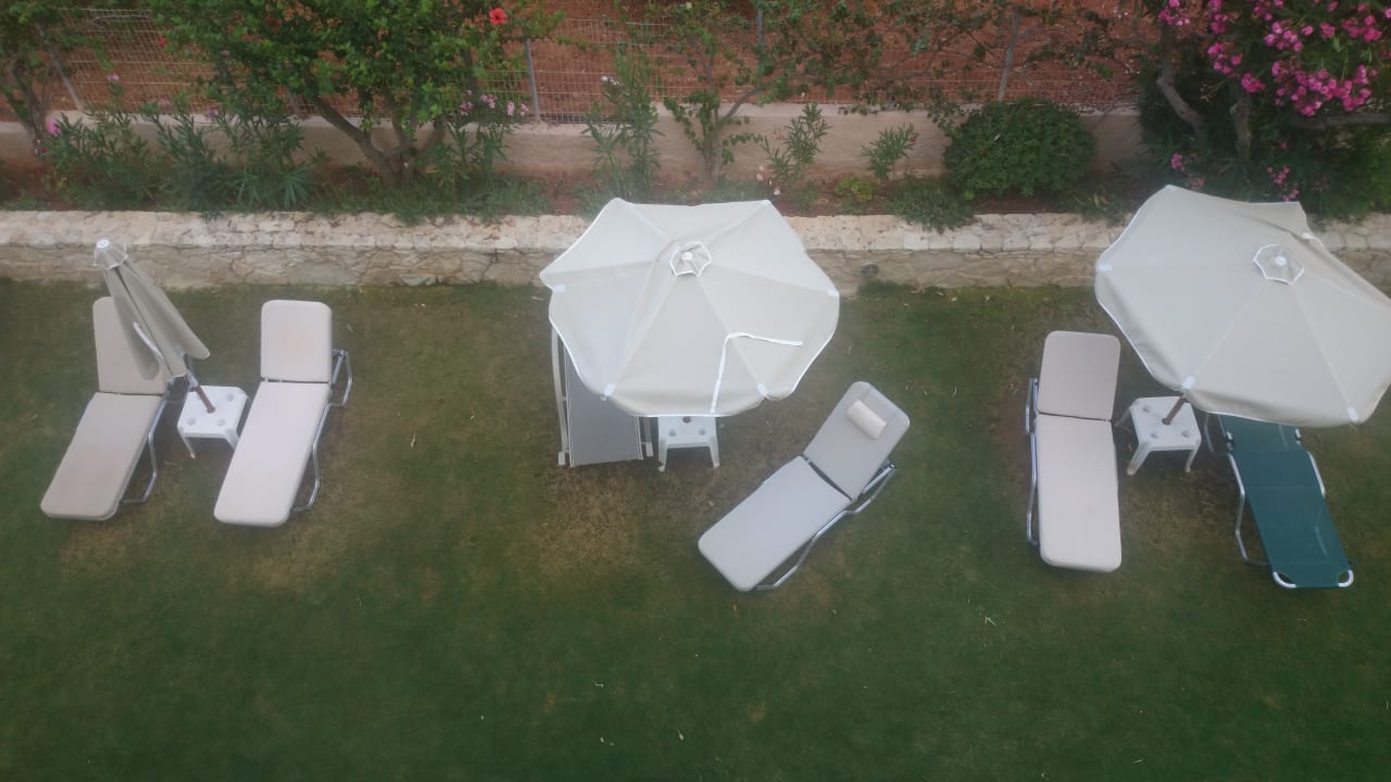 Gartenanlage Cactus Royal