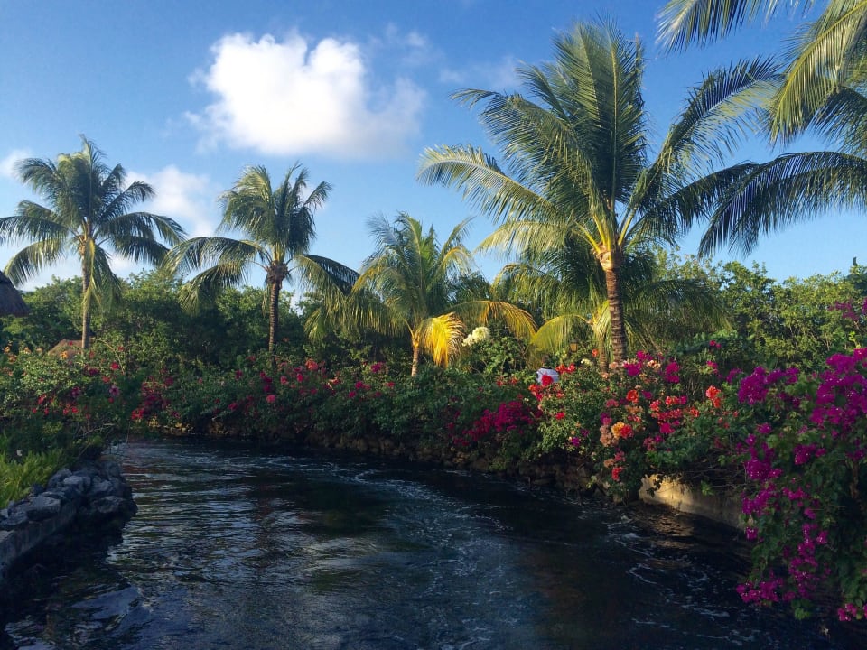 Tolle Anlage Grand Palladium Select White Sand Resort & Spa