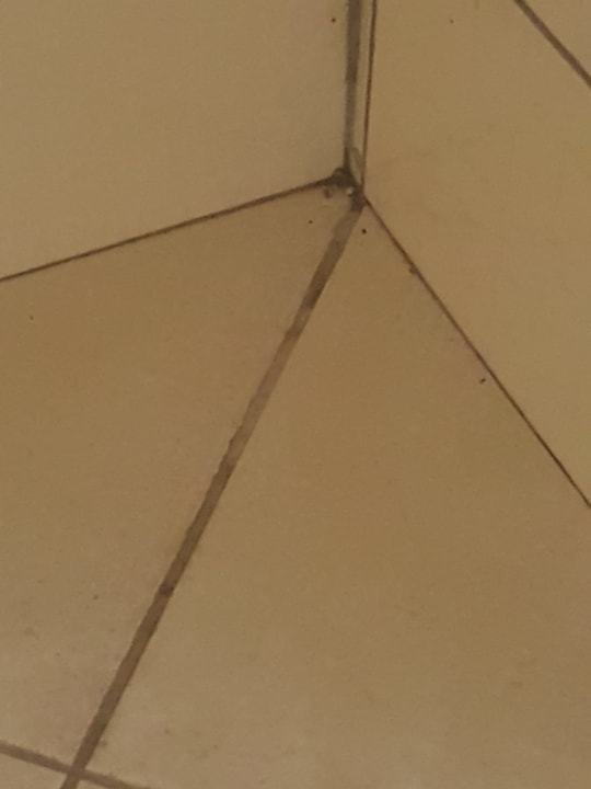 Zimmer Starlight Resort Hotel