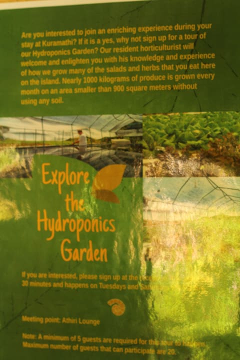 Info zum Gewächshaus Kuramathi Maldives