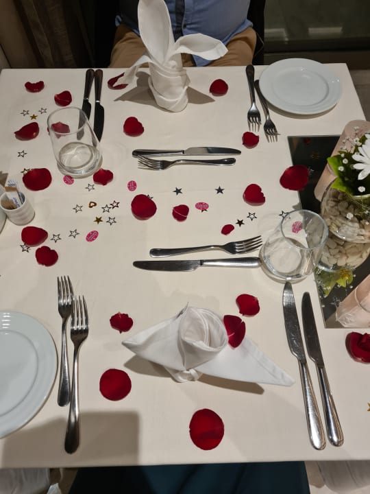 Gastro Acanthus Cennet Barut Collection