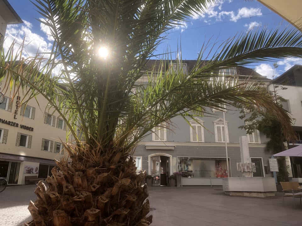 Gastro Genusshotel Goldene Rose