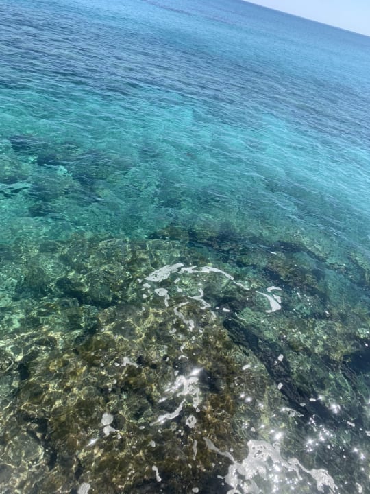 Strand Salamis Bay Conti Resort Hotel & Casino