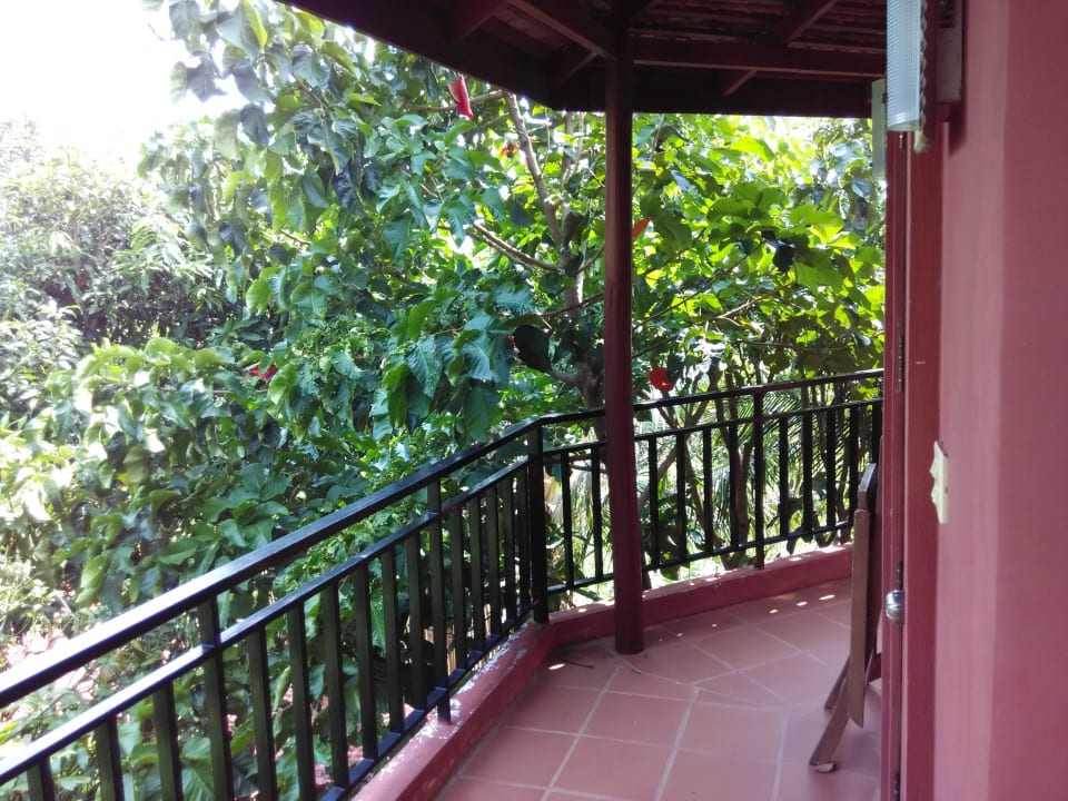 Wohnen wie im Baumhaus Hotel Spring Valley Resort