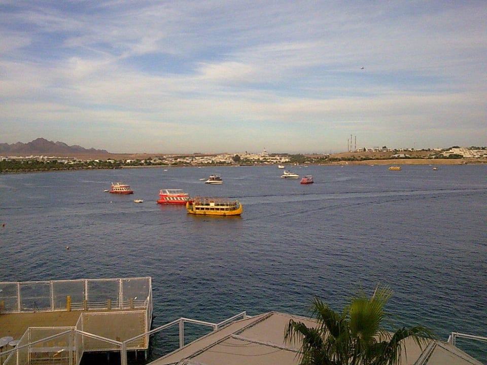 Pool view Lido Sharm Hotel