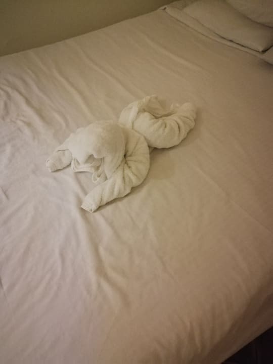 Zimmer Three Corners Sea Beach Resort