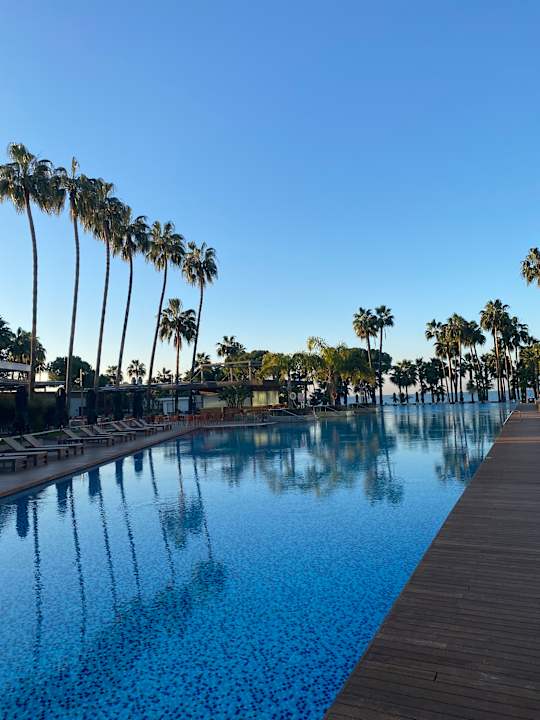 Pool Acanthus Cennet Barut Collection