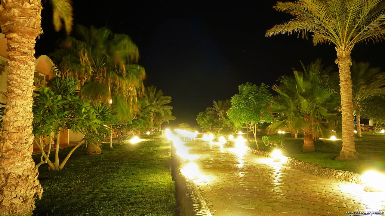 Widok nocą Three Corners Sea Beach Resort