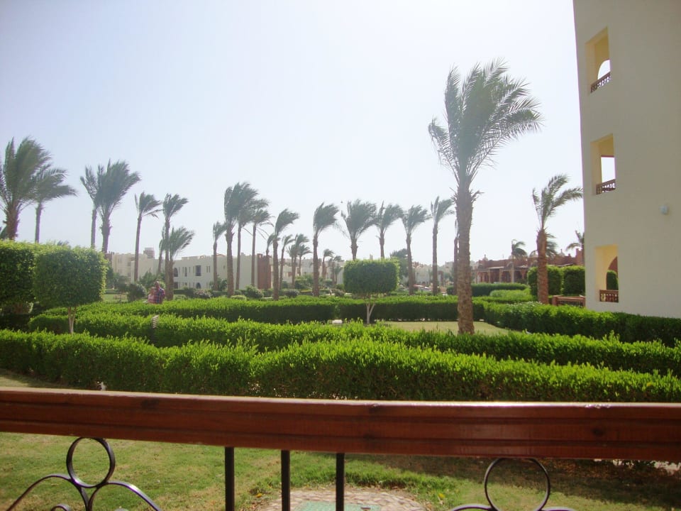 View from our veranda - block 31 SUNRISE Royal Makadi Resort